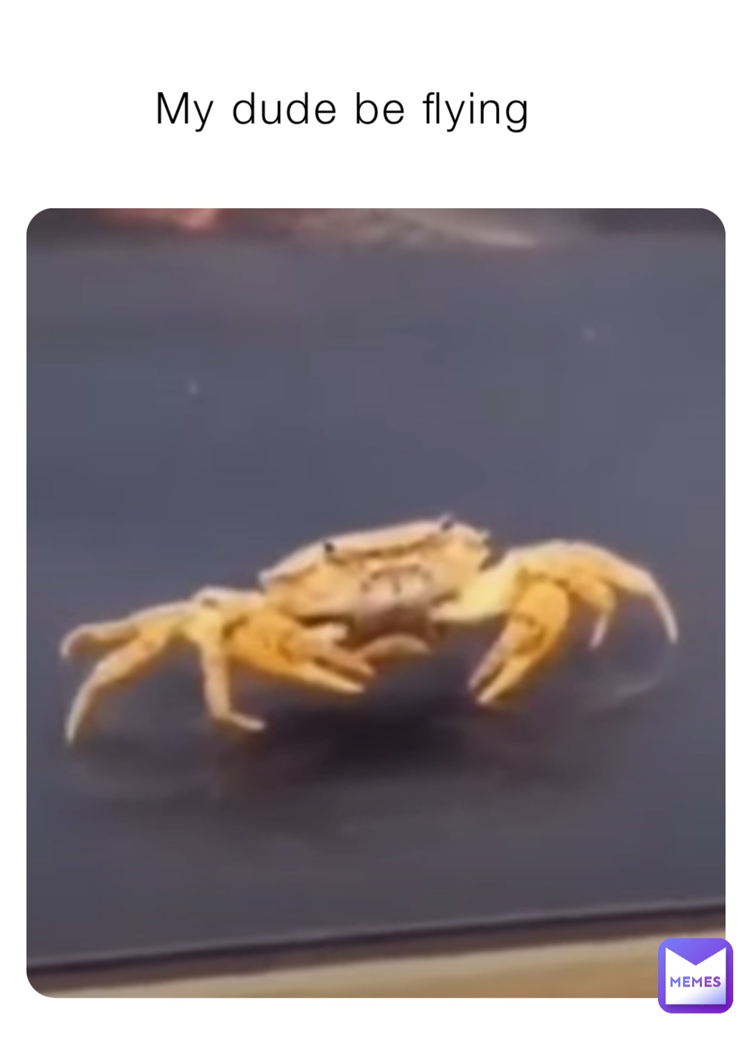 My dude be flying