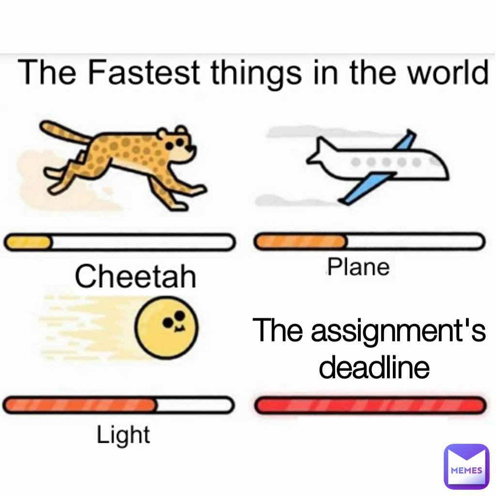 The assignment's
 deadline