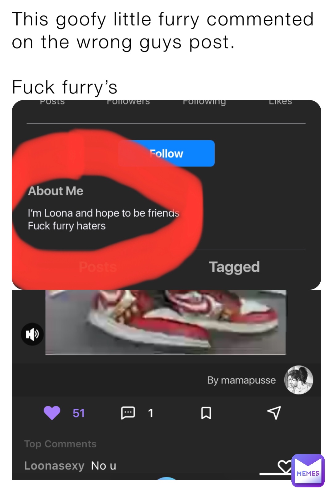 This goofy little furry commented on the wrong guys post. 

Fuck furry’s