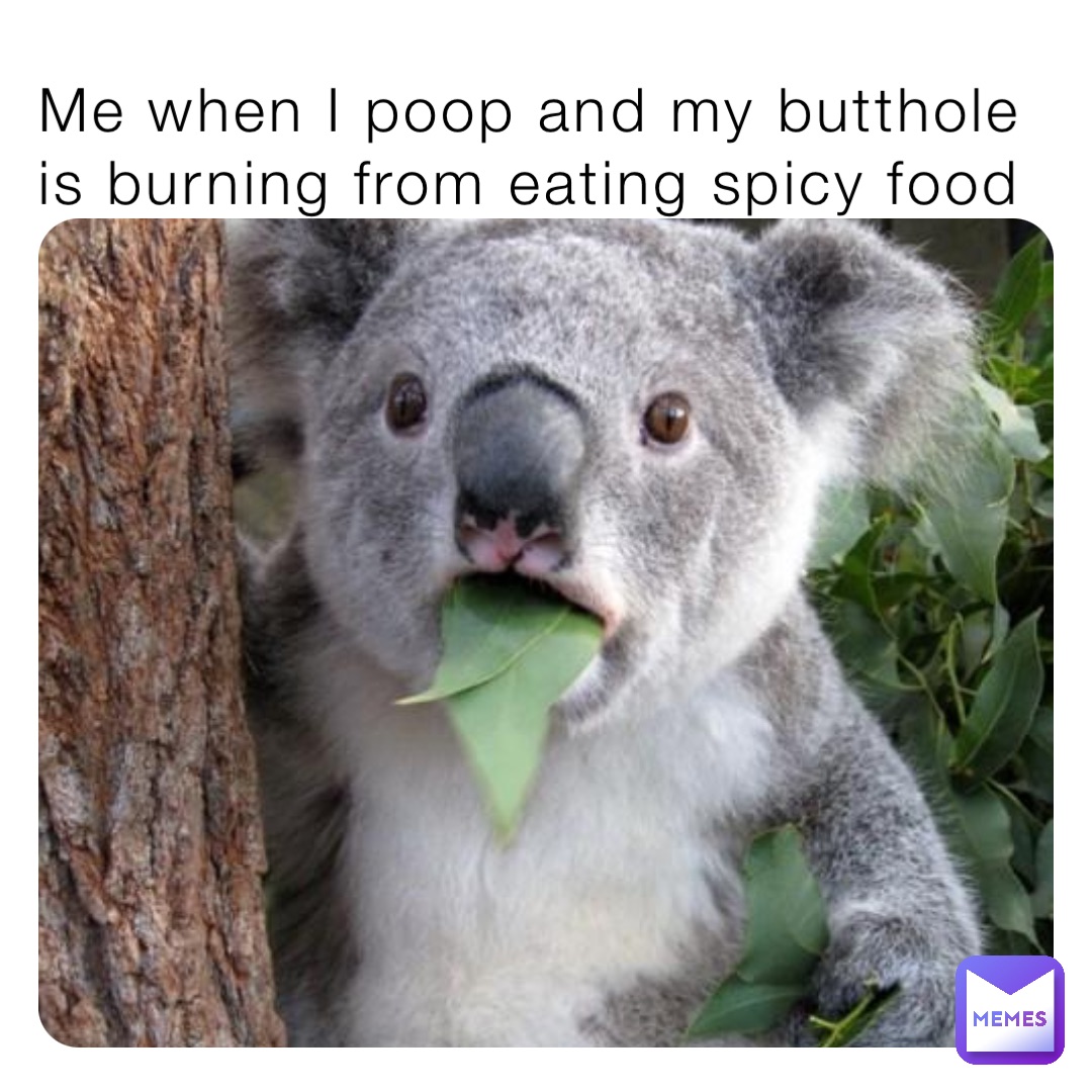 Me when I poop and my butthole is burning from eating spicy food ...