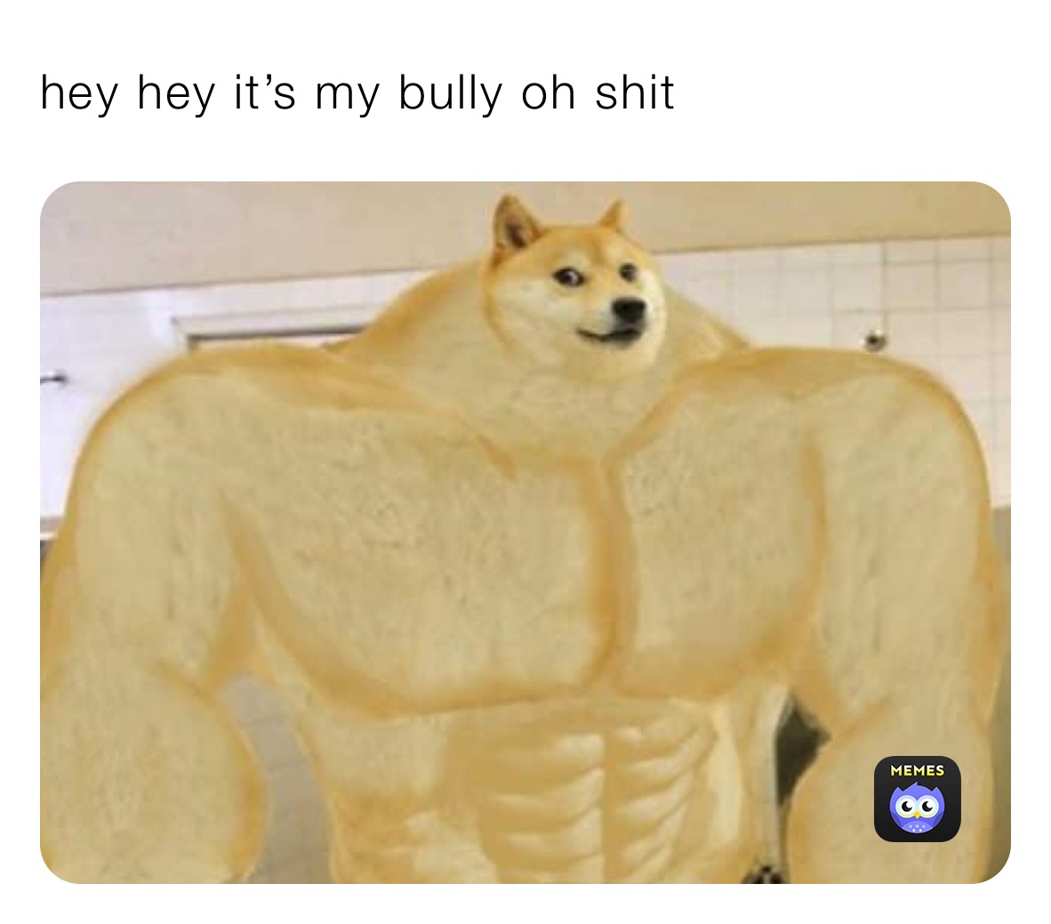 hey hey it’s my bully oh shit 