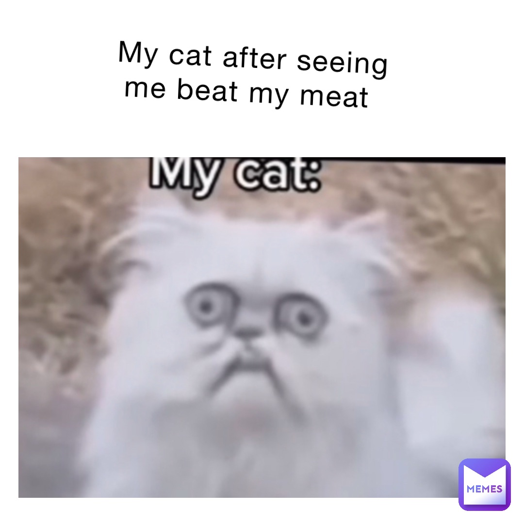 My cat after seeing me beat my meat