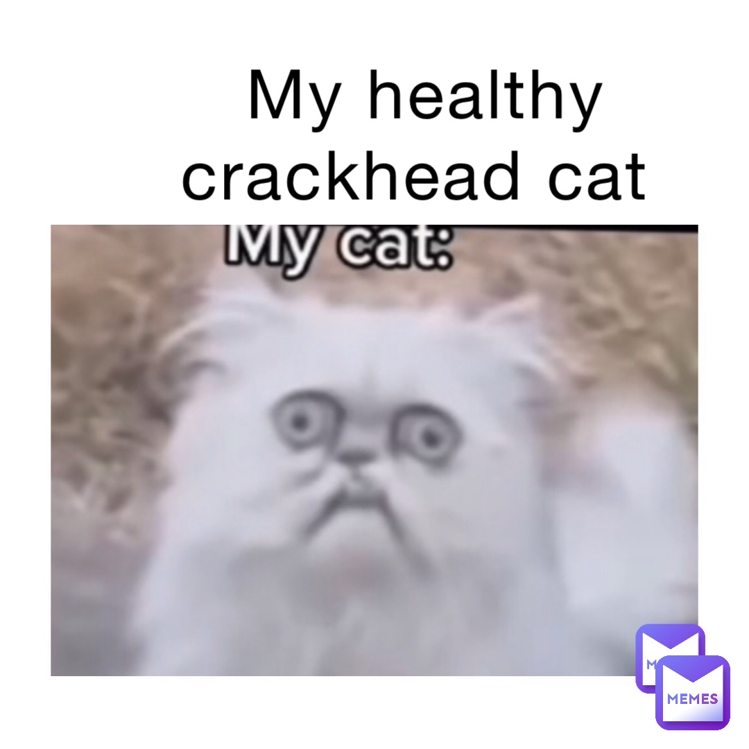 My healthy crackhead cat