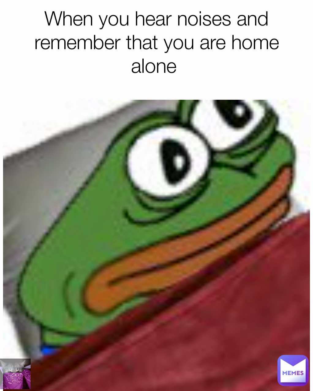 When you hear noises and remember that you are home alone 