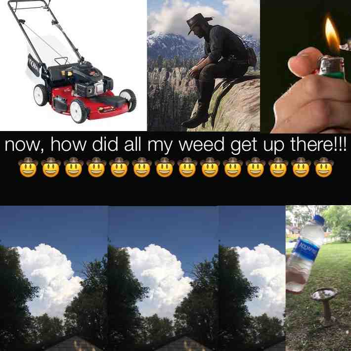 Godbless texas