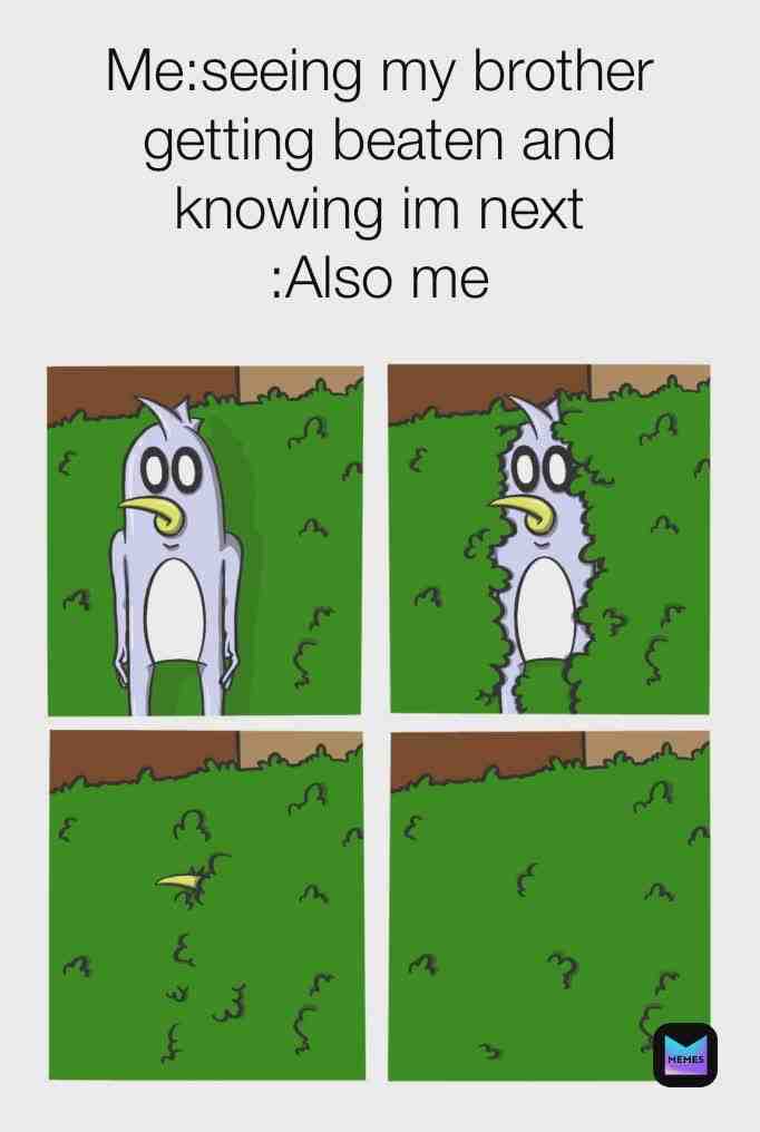 Meme shared by @brawl_stars_memes111