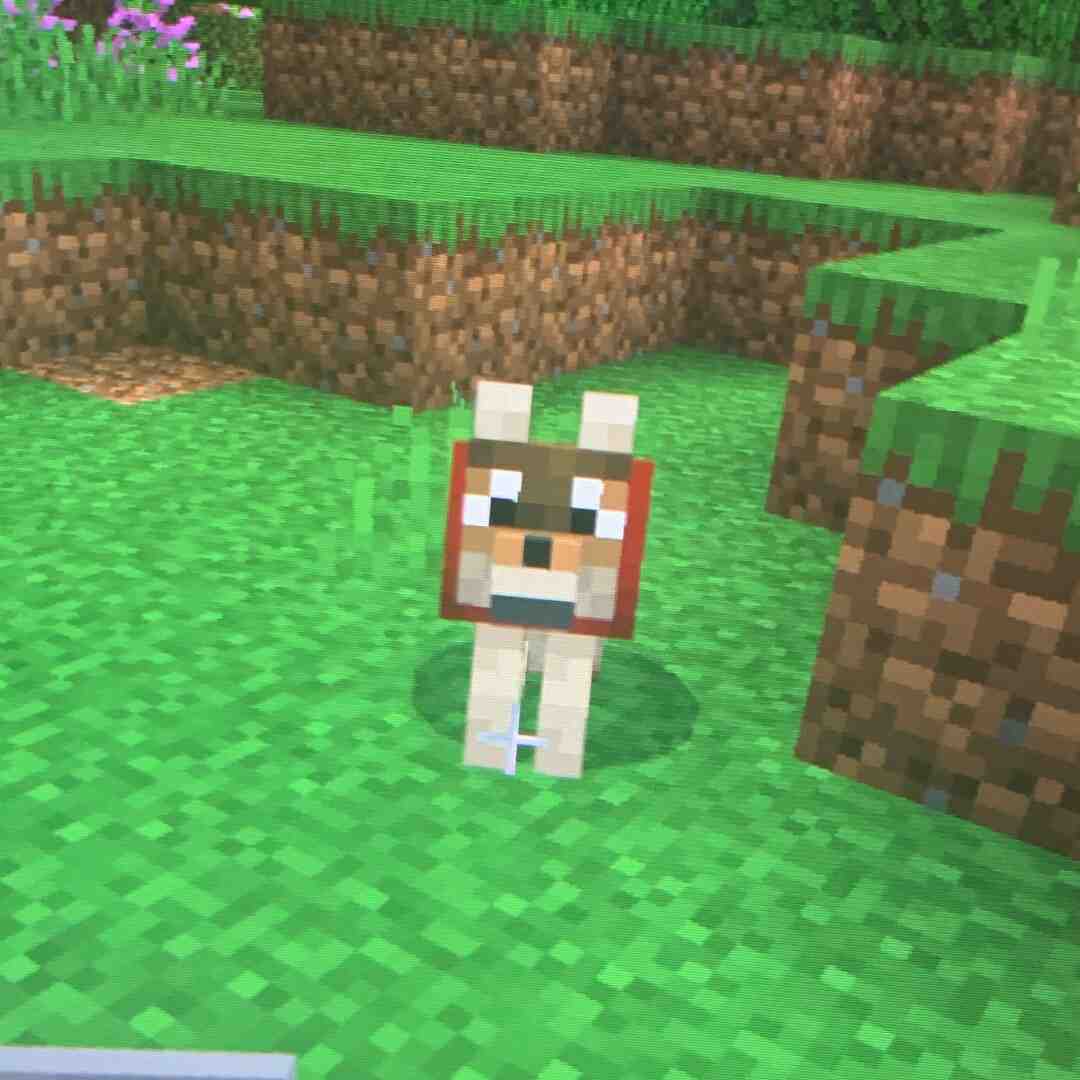 WHAT SHOULD I NAME THIS GOOD BOY