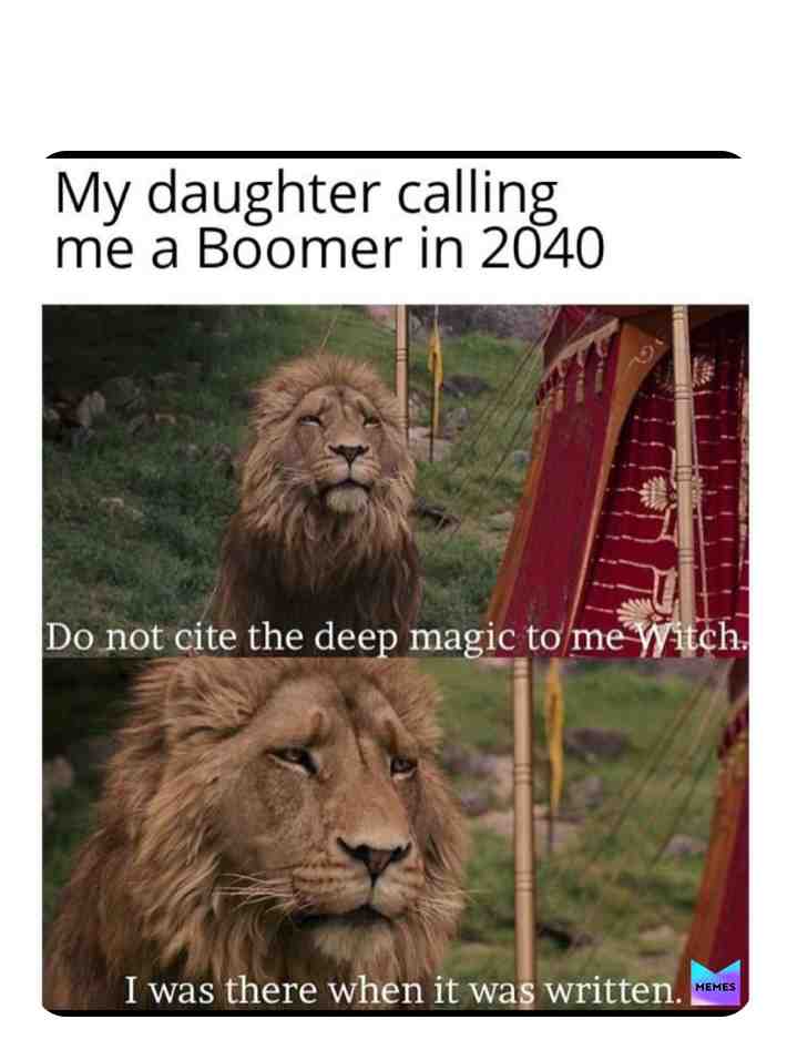 OK BOOMER