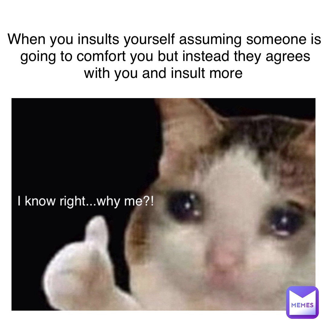 When you insults yourself assuming someone is going to comfort you but  instead they agrees with you and insult more I know right...why me?! |  @thefunnydemon | Memes, image size:1080x1080
