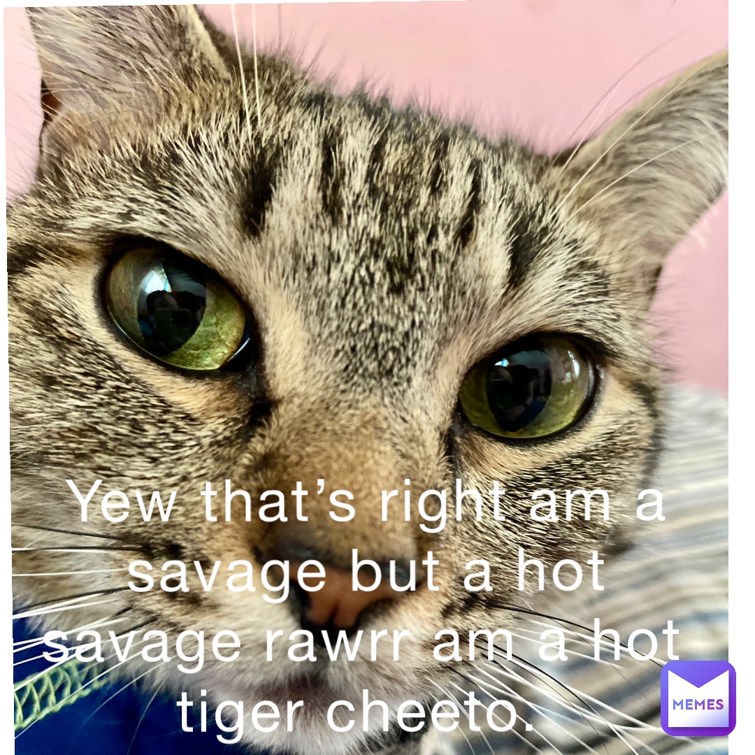 Yew that’s right Am a Savage but a Hot Savage rawrr Am a hot Tiger Cheeto.