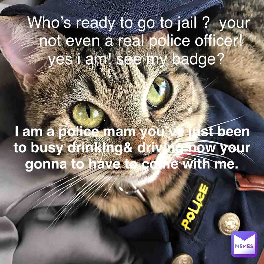 #memes #memesapp #catsofmemes #catmemes #catcomedy #petcomedy #petmemes #feature #memesapp