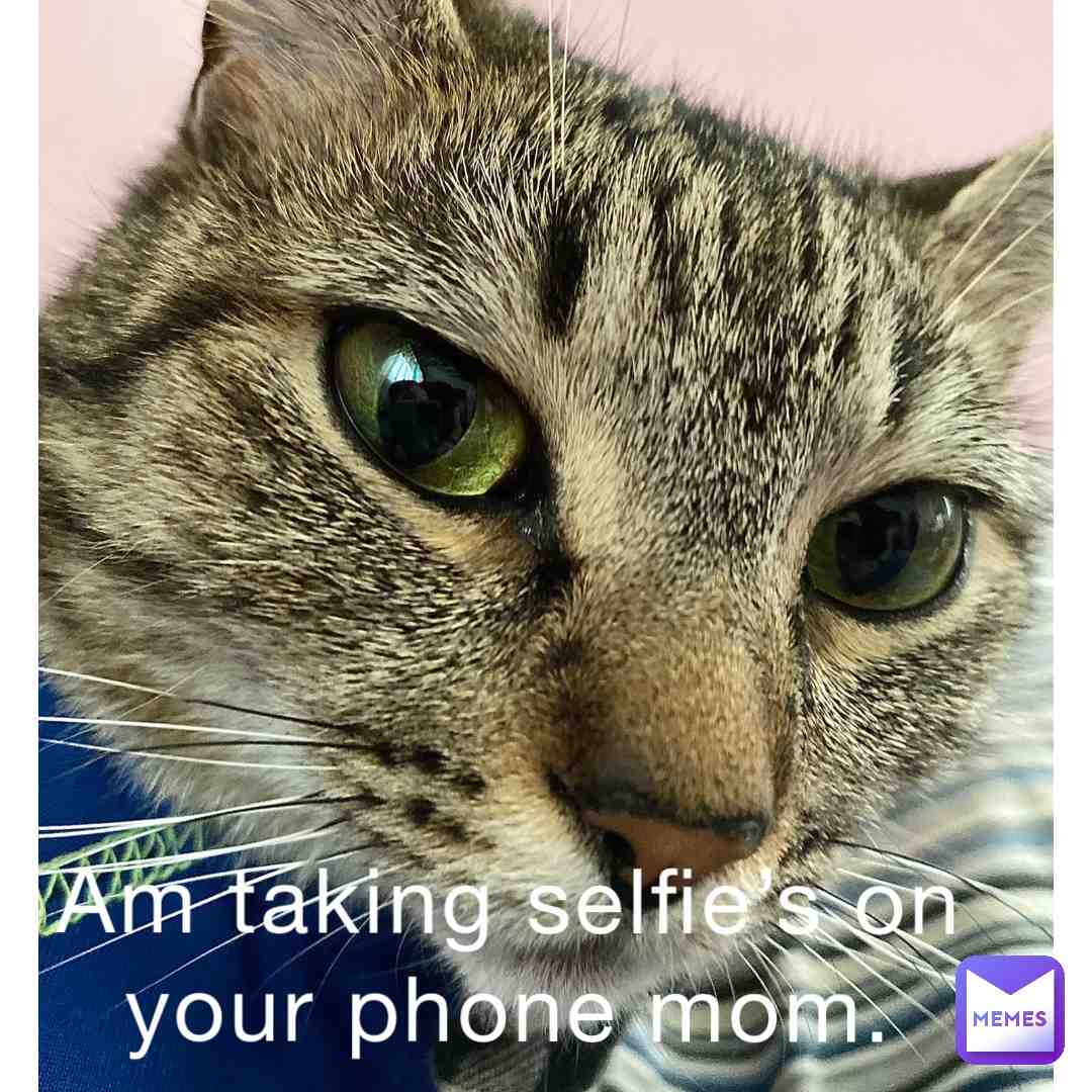 #memes #memesapp #catmemes #petmemes