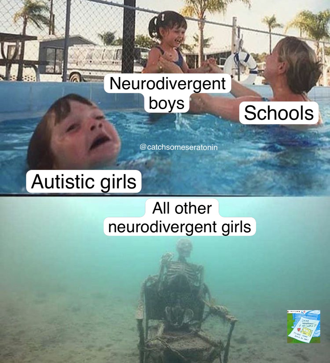 Schools Neurodivergent boys Autistic girls All other neurodivergent girls