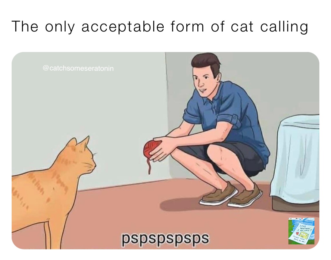 The only acceptable form of cat calling