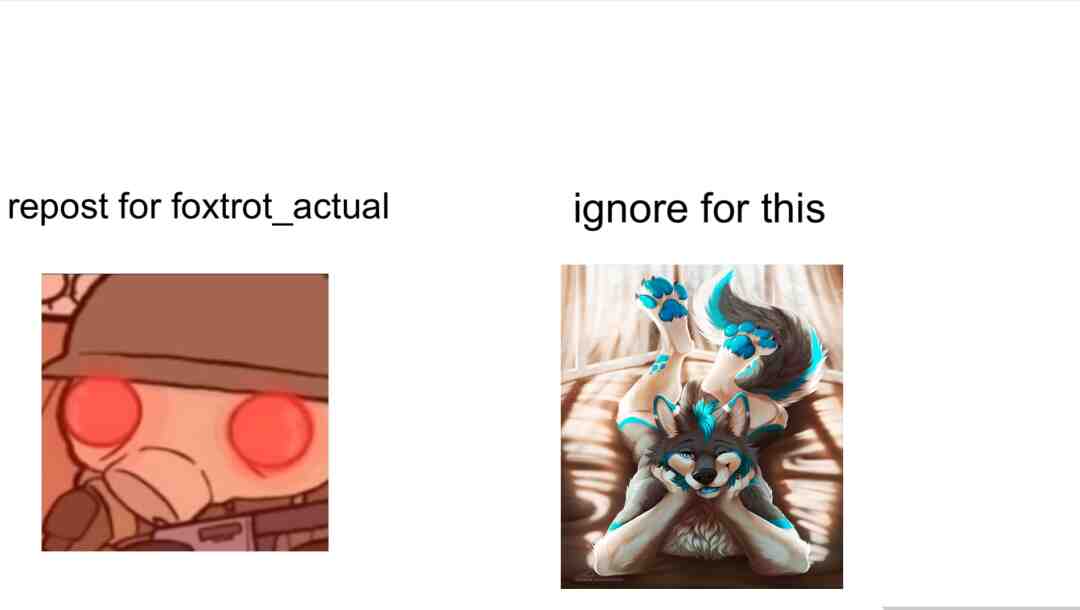 Meme shared by @Sansmor