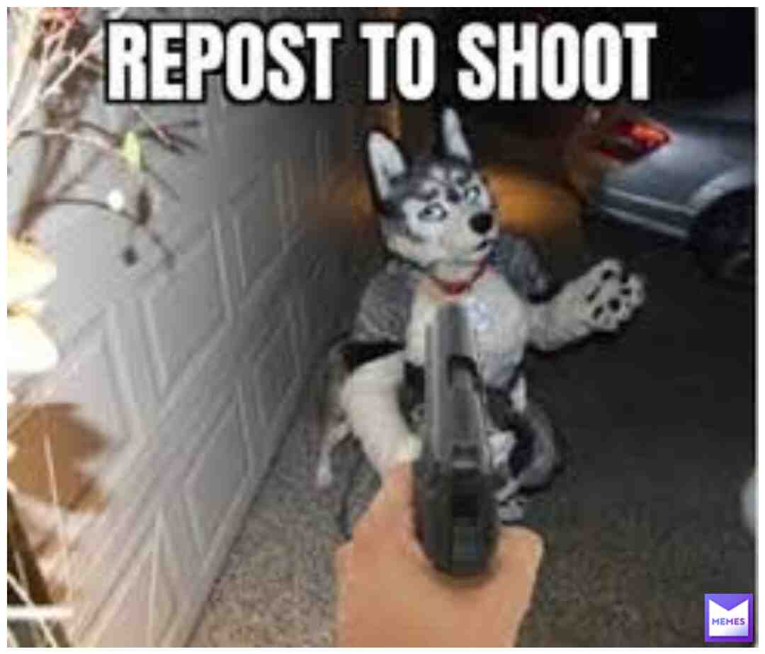 Meme shared by @Sansmor