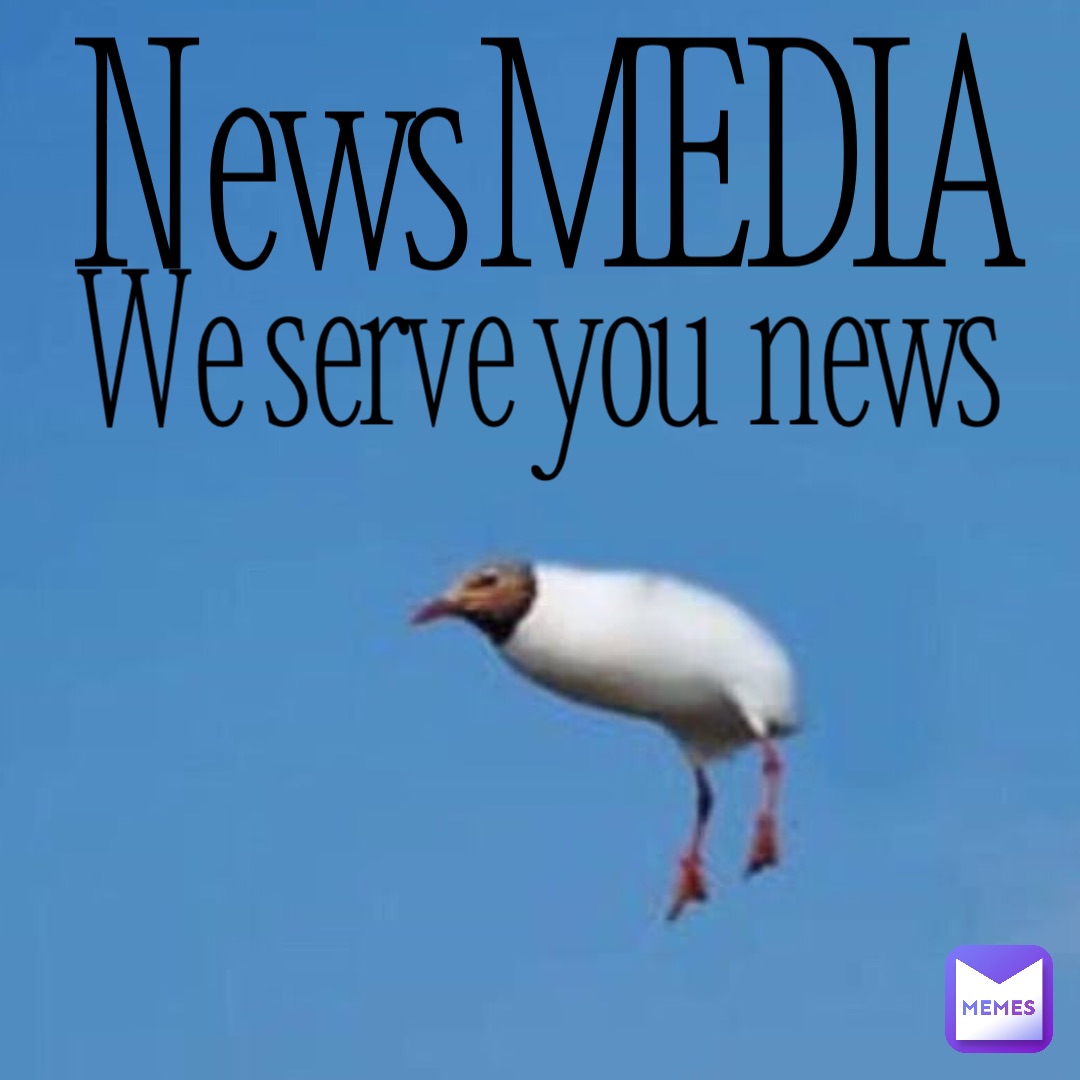 NewsMEDIA We serve you news