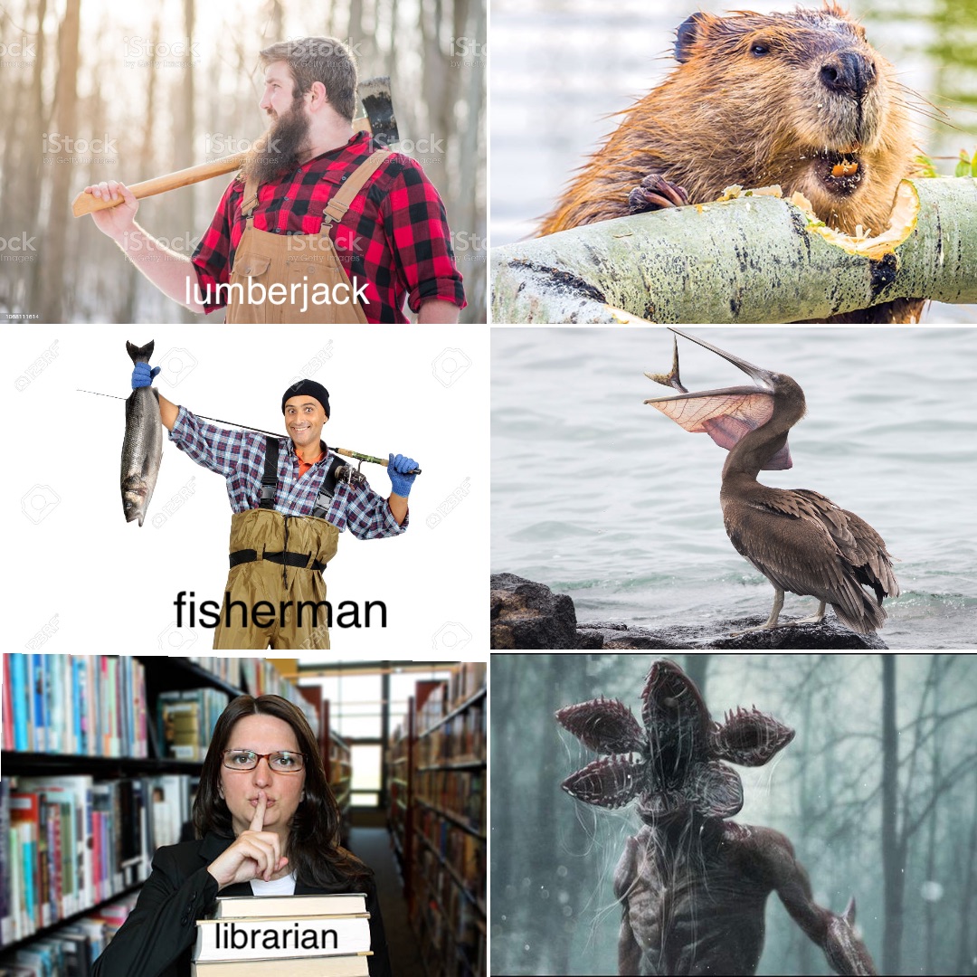 lumberjack librarian fisherman