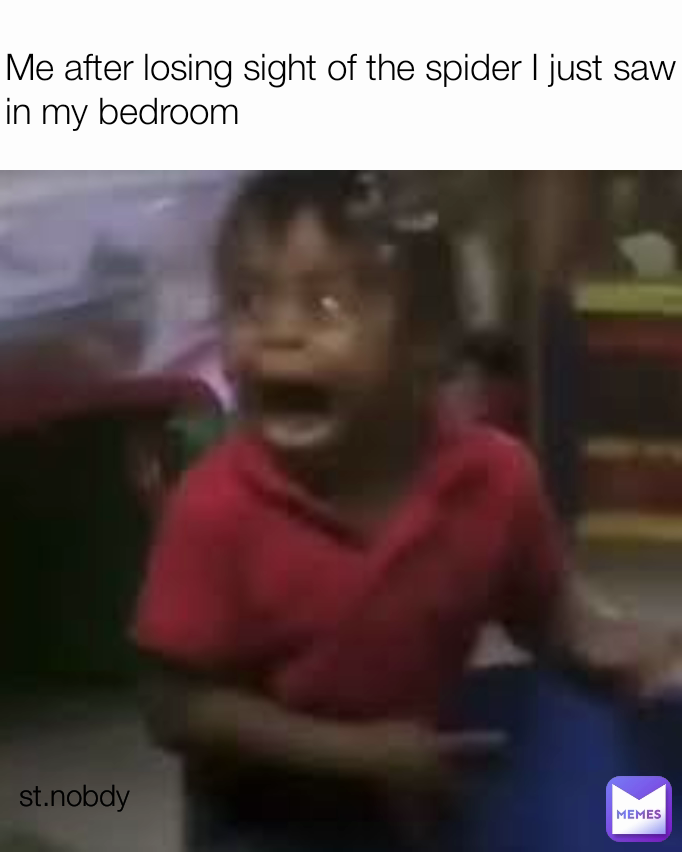 Me after losing sight of the spider I just saw in my bedroom  st.nobdy 