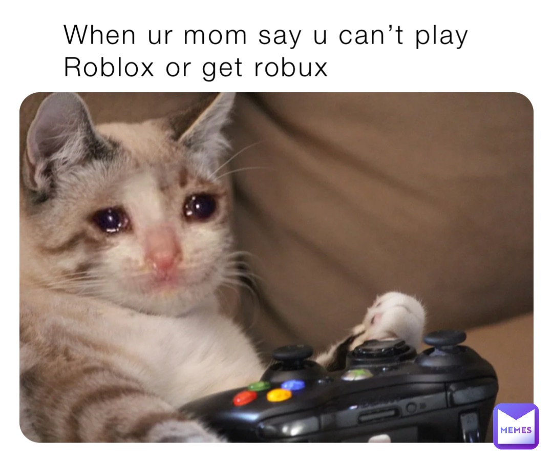 When ur mom say u can’t play Roblox or get robux