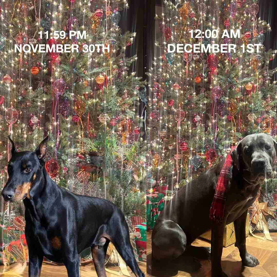November 30th x December 1st