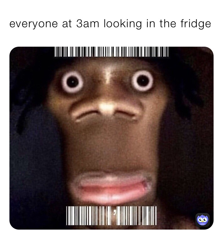 everyone at 3am looking in the fridge