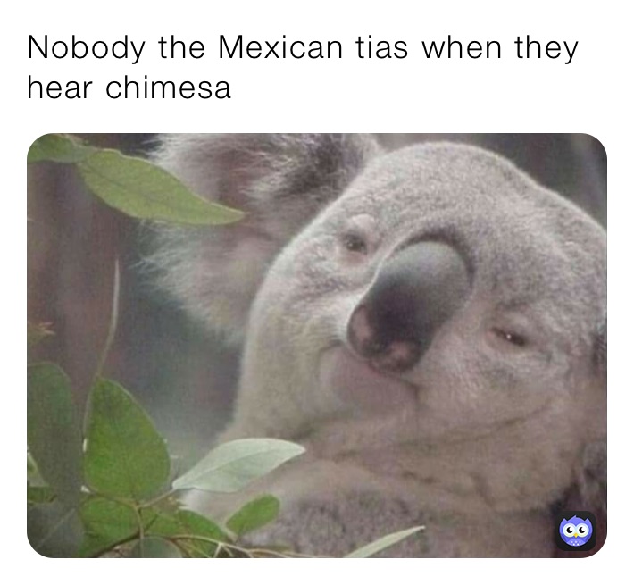 Nobody the Mexican tias when they hear chimesa 