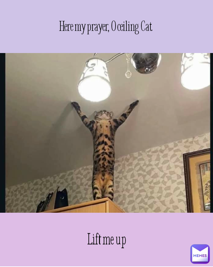 Here my prayer, O ceiling Cat. Lift me up