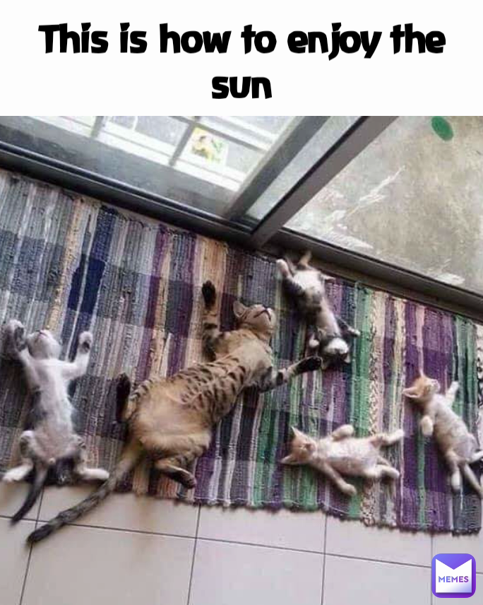 This is how to enjoy the sun