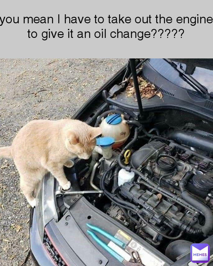 you mean I have to take out the engine to give it an oil change?????