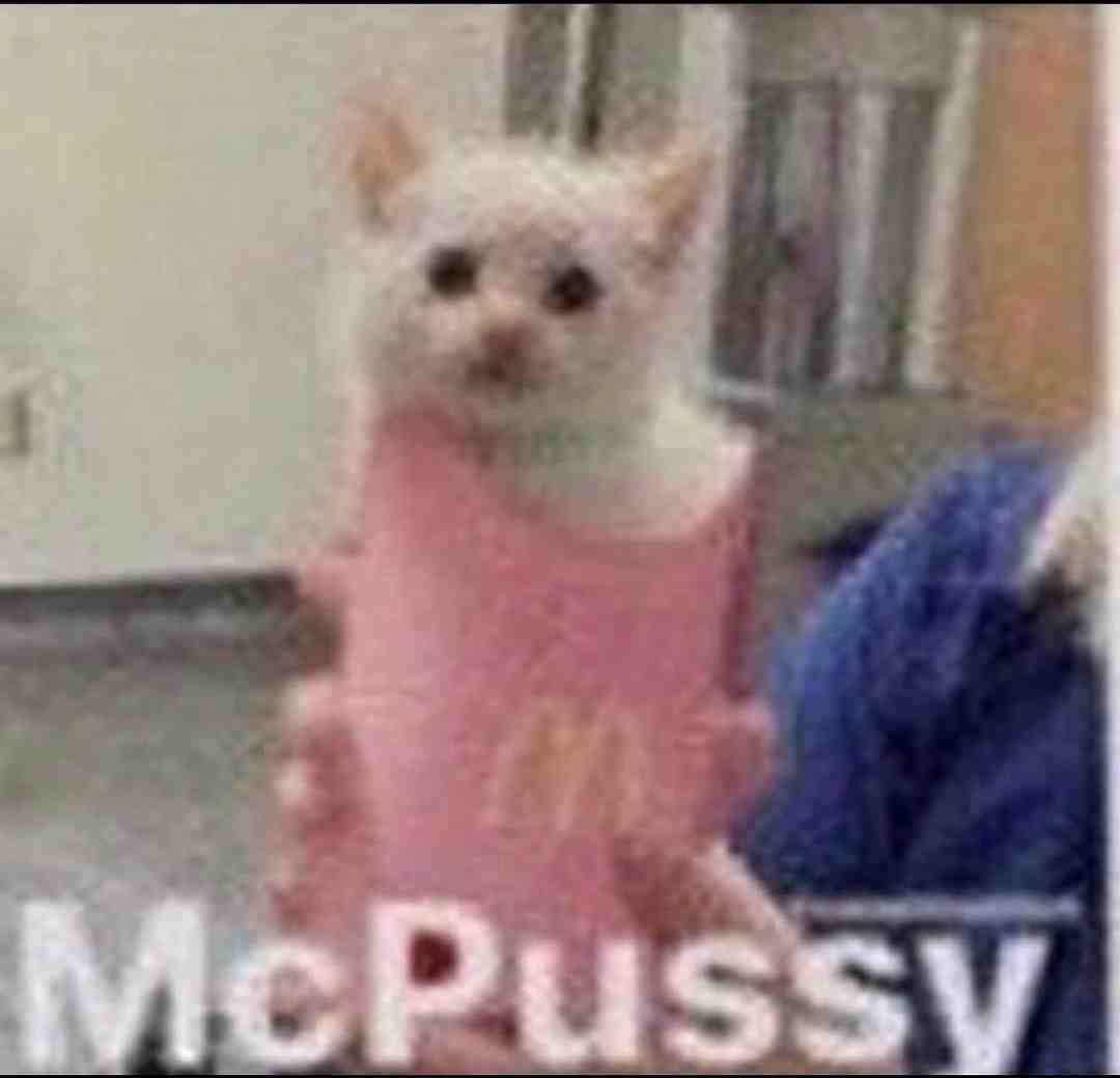Meme shared by @minimemer38