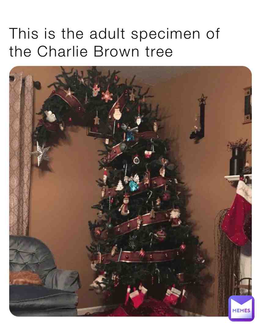 Meme shared by @minimemer38