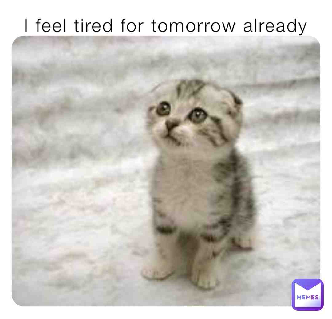 Meme shared by @minimemer38