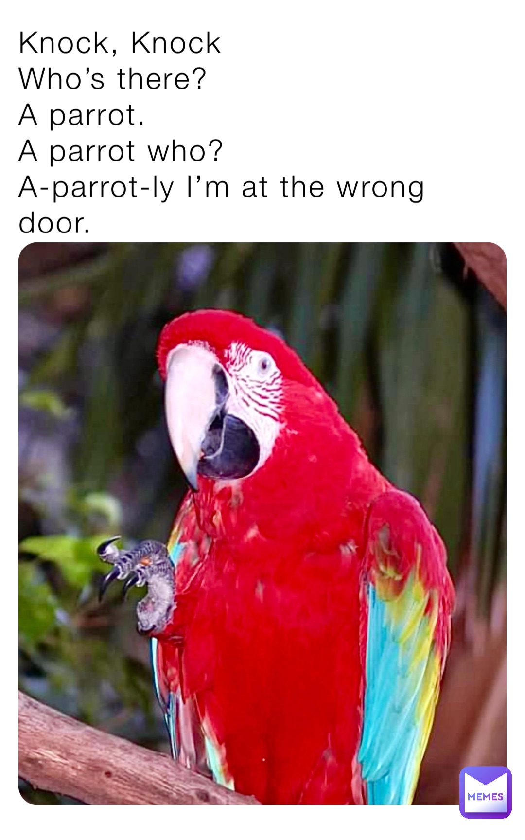 Meme by mimi-burlock