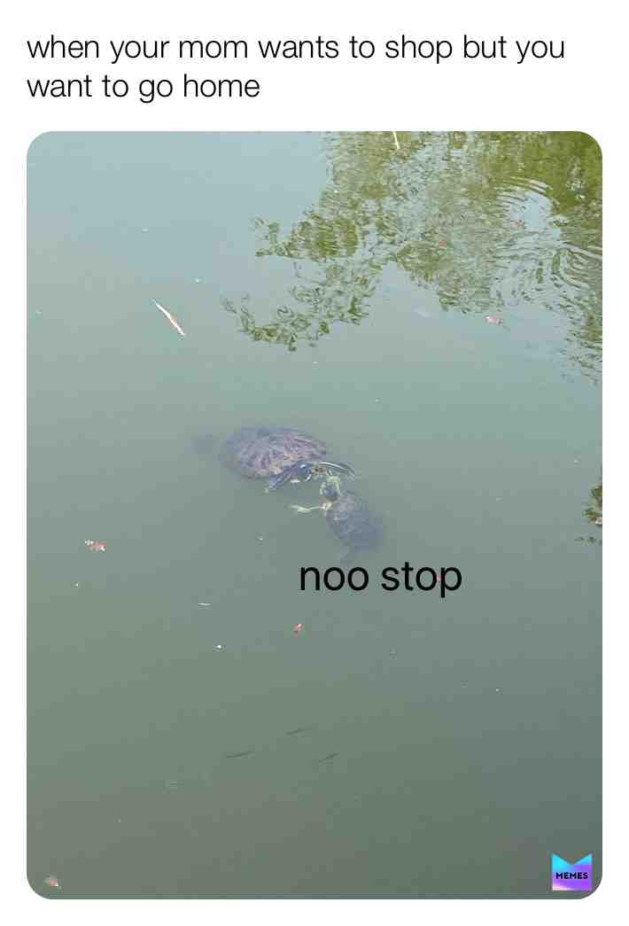 Meme shared by @like_you