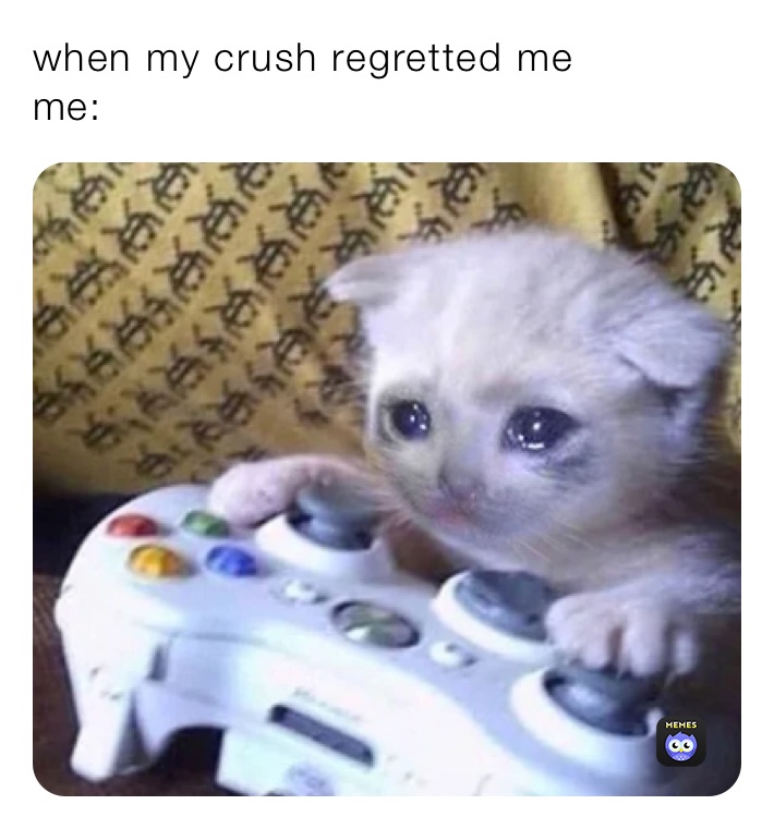when my crush regretted me 
me: