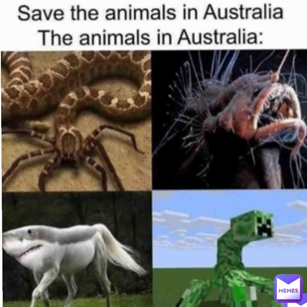 Meme shared by @inferffyt