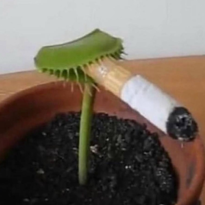 Meme by minus_TrashNOu