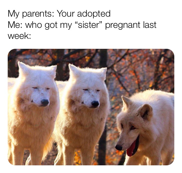 Meme by rileys_memez