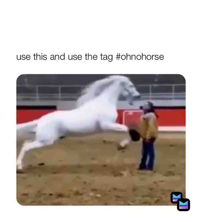 #ohnohorse