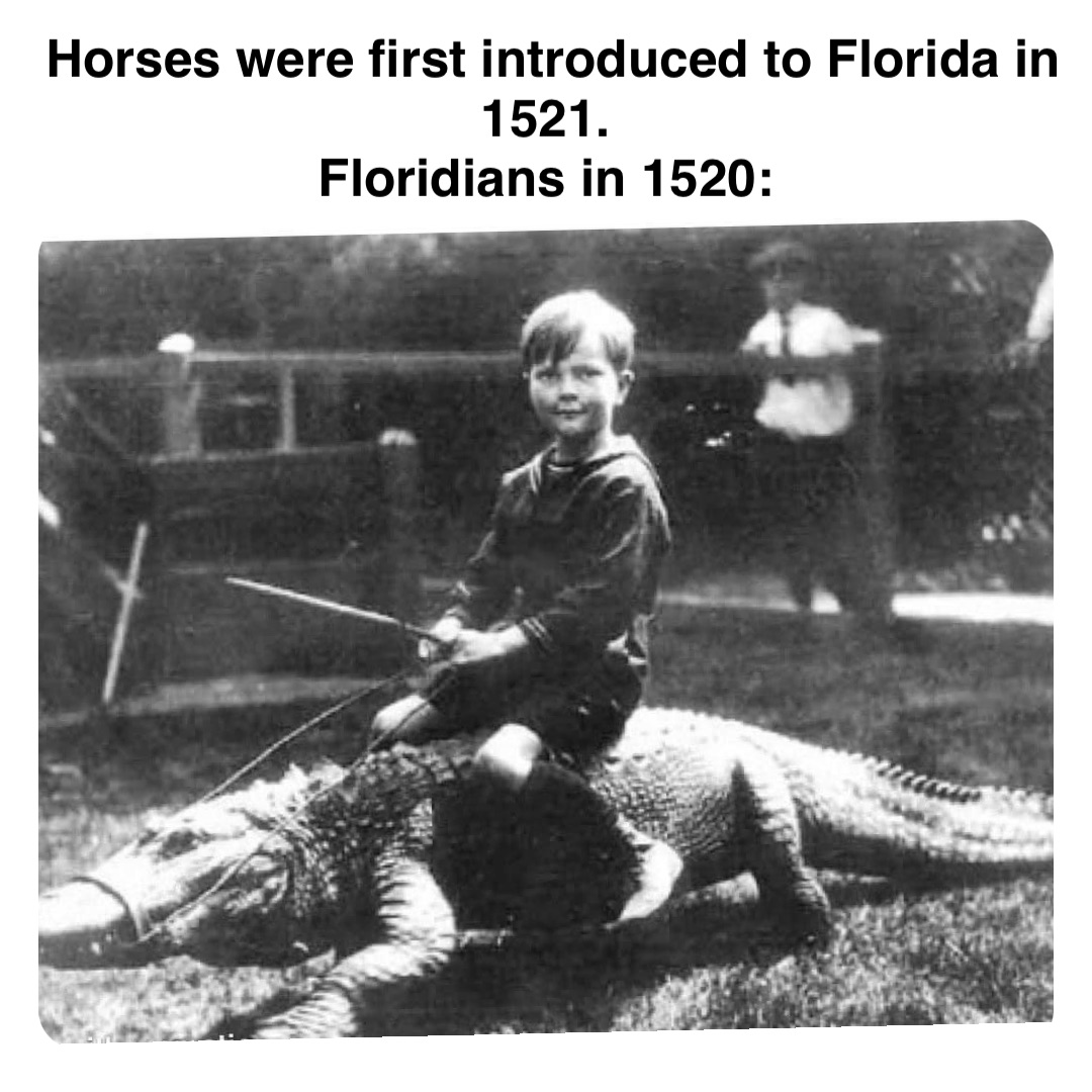 Double tap to edit Horses were first introduced to Florida in 1521.
Floridians in 1520: