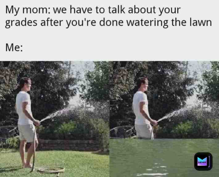 Meme preview