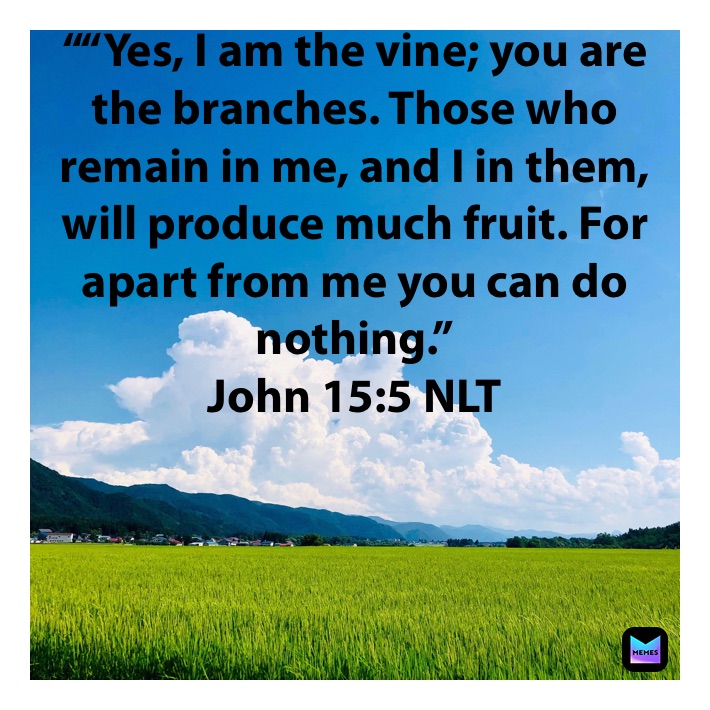 ““Yes, I am the vine; you are the branches. Those who remain in me, and I in them, will produce much fruit. For apart from me you can do nothing.”
‭‭John‬ ‭15:5‬ ‭NLT‬‬

