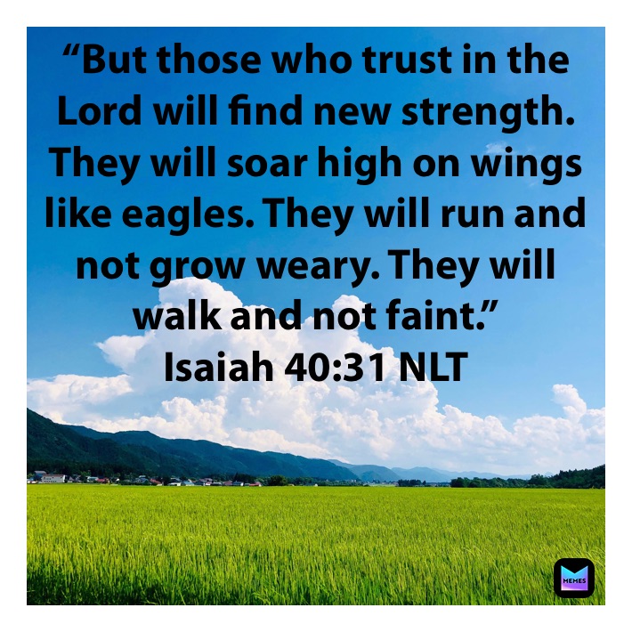 “But those who trust in the Lord will find new strength. They will soar high on wings like eagles. They will run and not grow weary. They will walk and not faint.”
‭‭Isaiah‬ ‭40:31‬ ‭NLT‬‬
