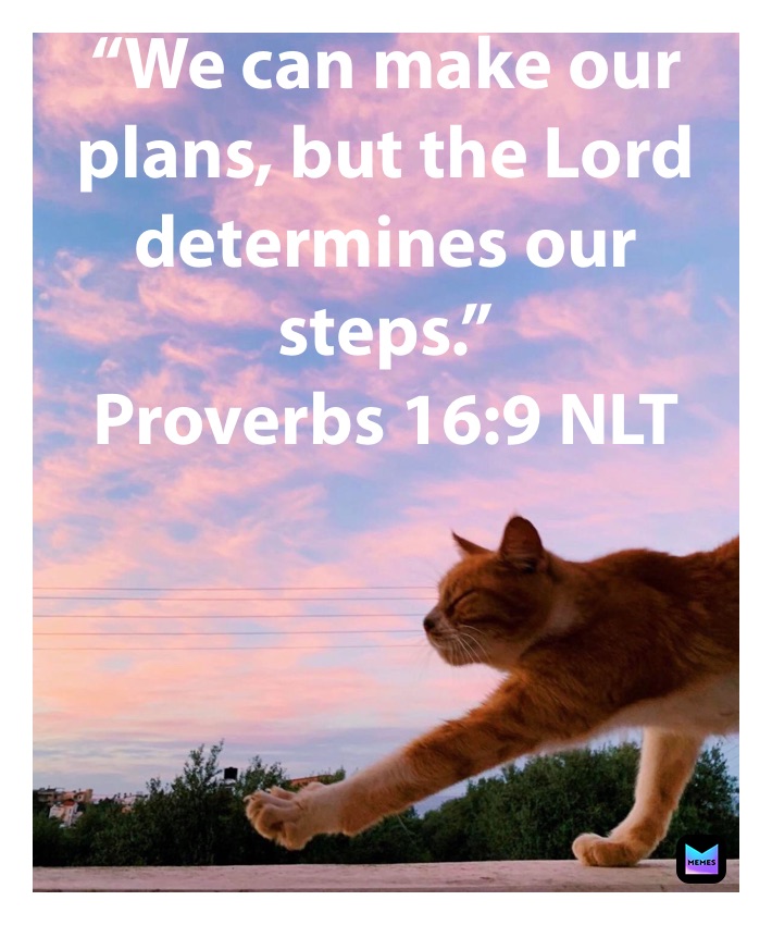 we-can-make-our-plans-but-the-lord-determines-our-steps-proverbs