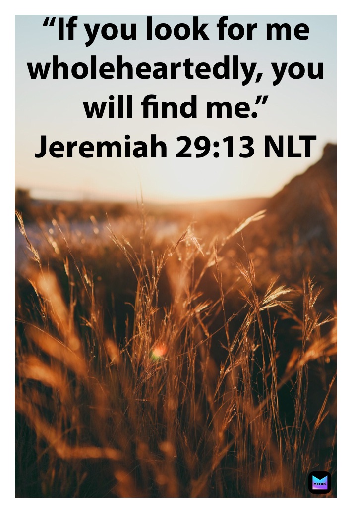 “If you look for me wholeheartedly, you will find me.”
‭‭Jeremiah‬ ‭29:13‬ ‭NLT‬‬
