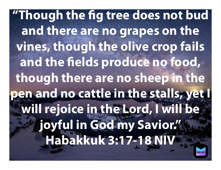 “Though the fig tree does not bud and there are no grapes on the vines, though the olive crop fails and the fields produce no food, though there are no sheep in the pen and no cattle in the stalls, yet I will rejoice in the Lord, I will be joyful in God my Savior.”
‭‭Habakkuk‬ ‭3:17-18‬ ‭NIV‬‬