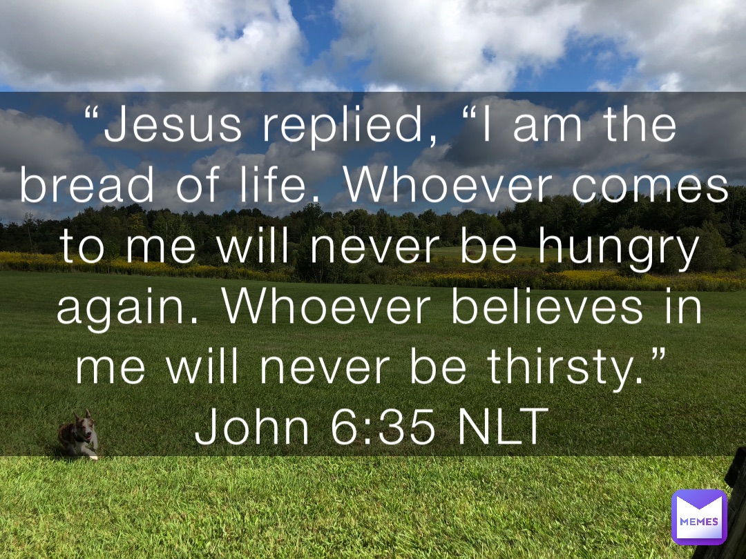 “Jesus replied, “I am the bread of life. Whoever comes to me will never be hungry again. Whoever believes in me will never be thirsty.”
‭‭John‬ ‭6:35‬ ‭NLT‬‬