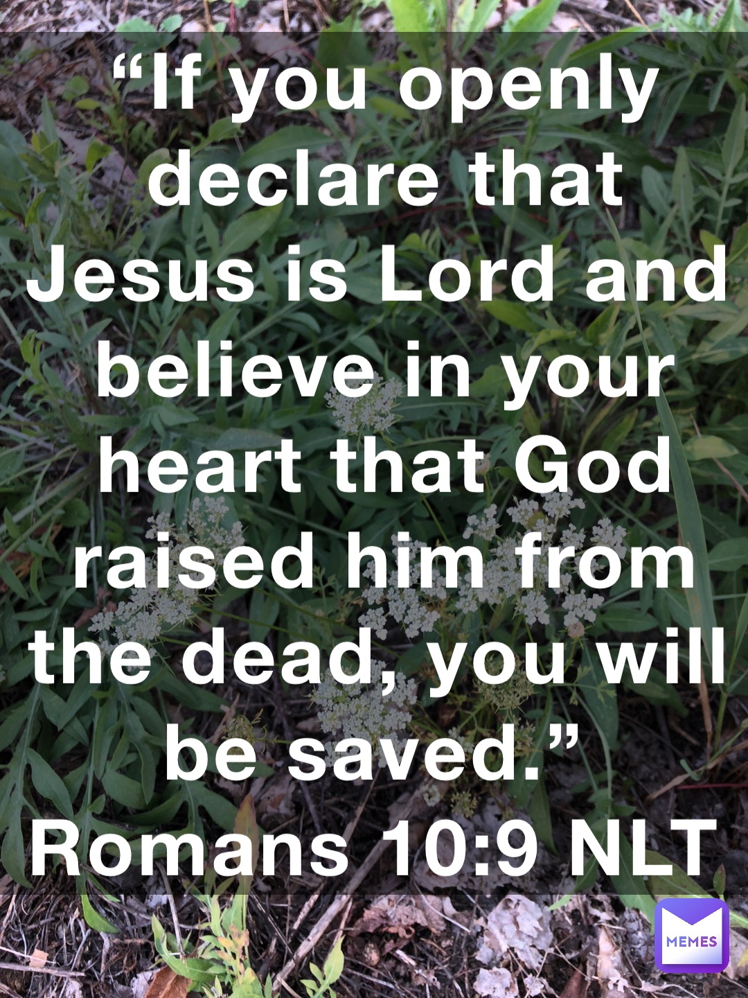 if-you-openly-declare-that-jesus-is-lord-and-believe-in-your-heart