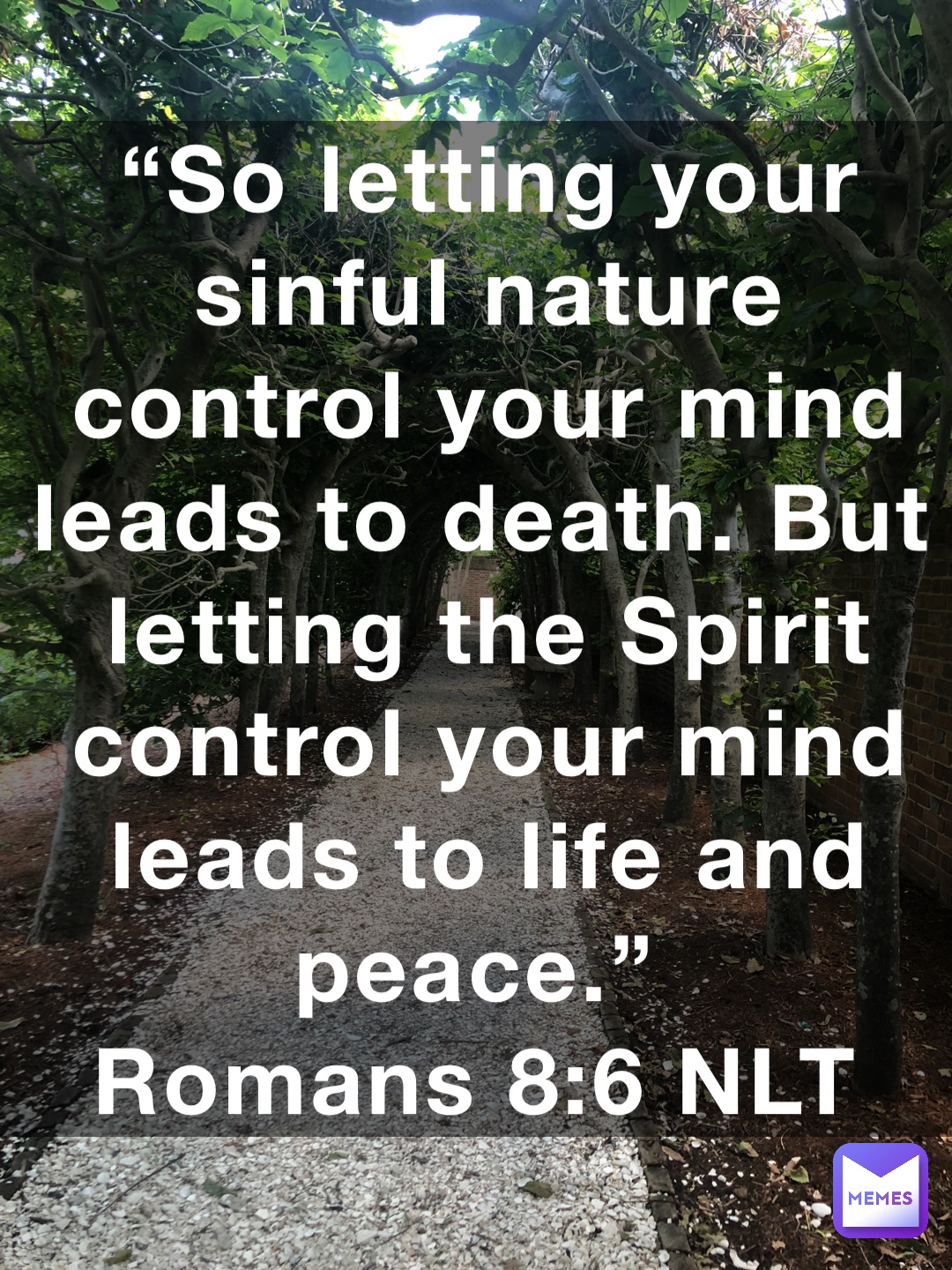 “So letting your sinful nature control your mind leads to death. But letting the Spirit control your mind leads to life and peace.”
‭‭Romans‬ ‭8:6‬ ‭NLT